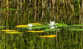 Po lietingos savaitės – malonios permainos savaitgalį