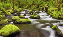 Sekmadienio orai: šiluma nelepins, tačiau lietaus nenumatoma