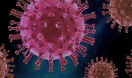 JAV koronaviruso aukų skaičius viršijo 180 000