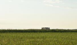 Atrask savo kraštą: Tulkiaragės pievų pasaulis