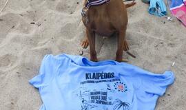 Paplūdimio rankinio savaitė