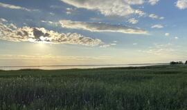 Atrask savo kraštą: Tulkiaragės pievų pasaulis