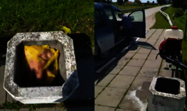 Šiukšlinėje - kiaulių galvos