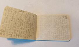 Surastas prezidento A. Stulginskio lagerio dienoraštis