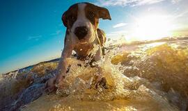 Temperatūra perkops 30 laipsnių karštį