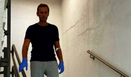 A. Navalnas išrašytas, visiškas jo atsigavimas yra įmanomas