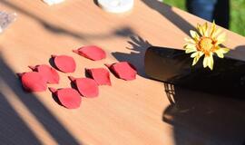 Botanikos sode vyko kūrybinės dirbtuvės „Kaip gimsta gėlės"