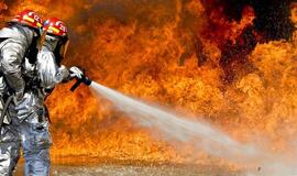 JAV vakaruose siaučiančių gaisrų dūmai jau pasiekė Europą