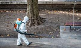 Lietuvoje yra apie 30 aktyvių COVID-19 židinių