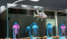 Robotai, virtuali realybė ir neišdildomi įspūdžiai