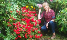 Tautodailininkė, tramdanti vilną