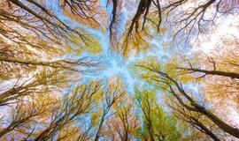 Antradienio horoskopas 12-ai zodiako ženklų