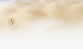 Kretingos rajone tvyro rūkas