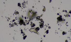 KU mokslininkų studija - proveržis oro taršos tyrimuose