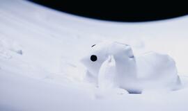 „Debesų lopšinė“: „Kūdikiams neįmanoma sumeluoti“