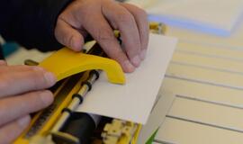 Tarptautinė Baltosios lazdelės diena