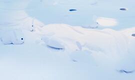 „Debesų lopšinė“: „Kūdikiams neįmanoma sumeluoti“