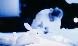 „Debesų lopšinė“: „Kūdikiams neįmanoma sumeluoti“