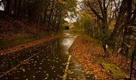 Dieną vietomis nedidelis lietus, dulksna, kai kur rūkas