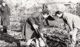 Klaipėdos akvarelės: namai ir žmonės (653)