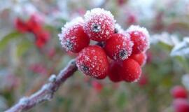 Orai: šiluma stebins nebeilgai, šią savaitę sulauksime ir pirmųjų snaigių