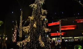 Palanga kalėdiniu laikotarpiu taps pasakų miestu