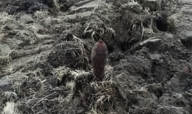 Pasienyje su Rusija rasta pavojinga mina