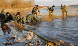 Prisiekė ir tuoj pat pasiūlė uždrausti verslinę žvejybą Kuršių mariose
