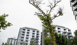 Šiųmetė vasara poilsiautojus privertė dar labiau vertinti šalies pajūrio privalumus