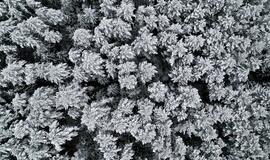 Džiugins saulės spinduliai, bet stipriau pašals