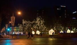 Klaipėdos kalėdinės vitrinos