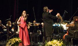 „Renkuosi Klaipėdą“: profesionalai konsultuoja jaunuosius kolegas