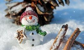 Sinoptikai prognozuoja baltas ir snieguotas Kalėdas