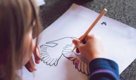 Taryba pritarė darželių reorganizacijos planui