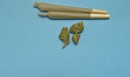 Už nedidelio kiekio narkotikų turėjimą siūloma skirti baudą iki 100 eurų