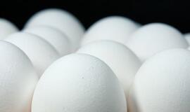 VMVT aptiko salmonelių Lietuvoje parduotuose kiaušiniuose