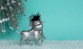 2021-ieji – Metalinio Jaučio metai: horoskopas visiems Zodiako ženklams