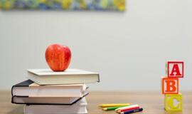 Būtinais atvejais ugdymas organizuojamas ir mokyklose