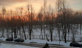 Gyvenimas pro langą: Dažnutės ir jaunystės kultas