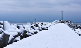Gyvenimas pro langą: kai širdys - Klaipėdoje