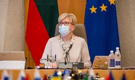 I. Šimonytė: panašu, kad artimiausiu metu susisiekimas su Jungtine Karalyste gali smarkiai apmažėti