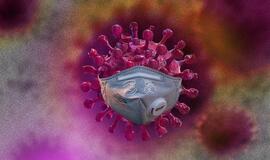 Ištyrus 9421 ėminį, 1232 nauji koronaviruso atvejai