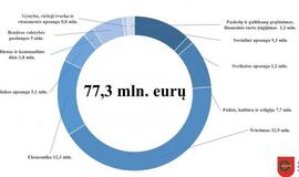 Klaipėdos rajonas patvirtino 2021 m. biudžetą