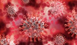 NVSC informuoja apie sausio 27 dienos COVID-19 protrūkius