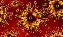 Pandemijos pikas gali būti praėjęs, bet situacija vis dar sudėtinga