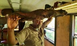 Lietuvos kolumbo kelionė pačiu baisiausiu traukiniu