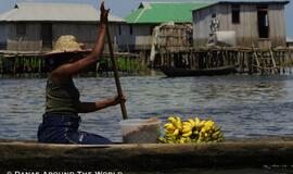 Afrikos Venecija ant pastolių