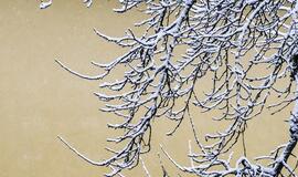 Savaitgalio orai bus debesuoti ir ūkanoti