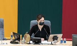 V. Čmilytė-Nielsen: verta grįžti prie valstybės vadovo statuso V. Landsbergiui klausimo