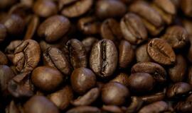 Antradienio horoskopas 12-ai zodiako ženklų